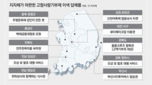 천하장사와 식사, 벌초대행… “고향사랑기부 하면 답례품” 