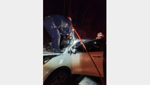 승마장 탈출한 말과 차량 충돌…3명 중경상