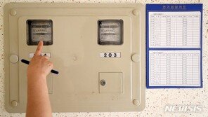 한은 “물가 하락에도 근원물가는 상승…내년 전기요금 인상”