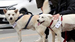 박대출 “文 풍산개 병원비 1100만원…이렇게 아픈데 반환했나”