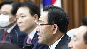 내년 ‘빨간날’ 늘까…與 “성탄절·석탄일도 대체공휴일 지정해야”