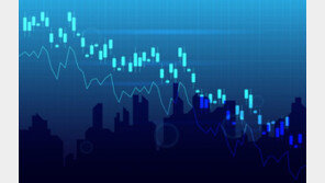 美 백만장자 투자자 “내년 주가 10~15% 하락할것”… ‘산타랠리’ 실종