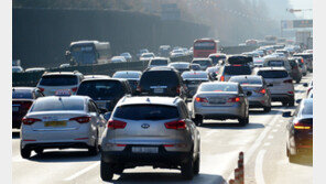 차량 번호판에 크리스마스 장식, 과태료 최대 50만원