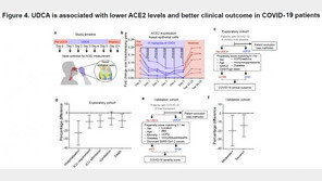 “변이까지 원천 차단”… 간장약 성분 ‘UDCA’ 코로나19 예방 효과 국제학술지 네이처 게재