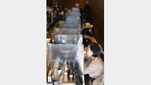 알레르기 환자 10명 중 1명꼴 ‘우울’…‘혼밥’도 더 많다