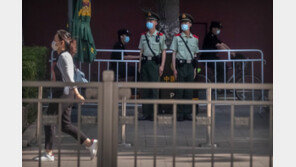 한국에도 ‘中 비밀경찰서’ 있다?…정부, 실태 파악 나서