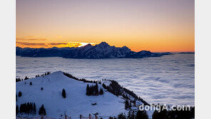 “60분간 매출 420억”… 롯데관광개발, 800만원대 고가 여행패키지 ‘대박’  