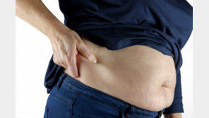 美서 月 130만원 넘는 비만약 인기…양극화 우려도