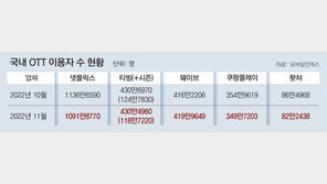OTT 생존경쟁 가열… 매각설 왓챠 “투자유치 등 다각 검토” 