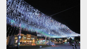 괌 홀리데이 라이트 페스티벌 개최