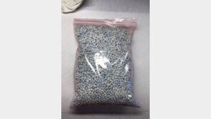 미국인 모두 죽일만큼의 마약성진통제 ‘펜타닐’ 압수… “2살 아기도 중독”