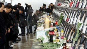 이태원 참사 국조특위, 현장 조사…“진실 규명, 재발 방지”