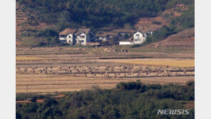 ‘식량난’ 北, 11월 中서 쌀 3만t 수입 ‘3년 만에 최대’