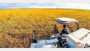 “북한, 10월부터 ‘식량 유통 장악’ 정책…장마당서 유통 금지한 듯”