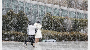 화이트 크리스마스는 아니다? 눈 24일까지