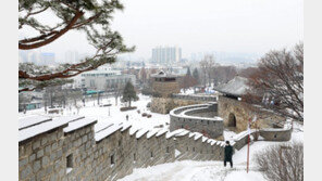 화이트 크리스마스는 아니다? 24일까지 많은 눈에 강추위