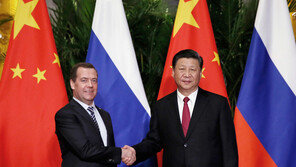 시진핑, 메드베데프 회동…“우크라 위기 대화로 해결해야”