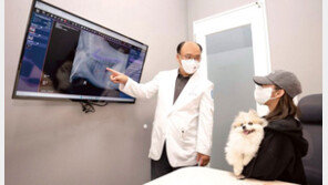 [Tech&]동물용 엑스레이 판독보조 ‘엑스칼리버’… 출시 3개월여 만에 100여 개 가입병원 확보 ‘인기’