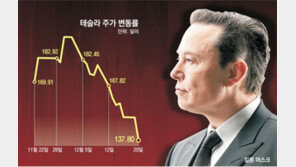 ‘머스크 리스크’에… 테슬라 주가 8% 폭락, 점유율 뚝 