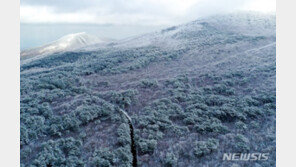 제주 최대 50㎝ 눈…도로 통제·항공기 무더기 결항