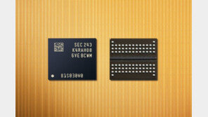 삼성전자 ‘12나노 D램’…선폭 수치 공개한 이유는?