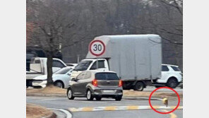 “반려견 유기하려던 견주…사진 찍고 쫓아가니 다시 차에 태워”