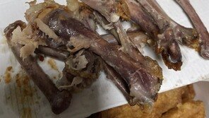 “닭 뼈가 왜 까맣지?”…교촌치킨 냉동닭 병행 사용에 ‘갑론을박’