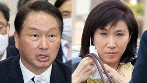 ‘665억 재산분할’ 최태원, 노소영 항소에 맞항소…이혼소송 2차전