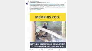 지켜주지 못해 미안…美 동물원 판다 20년 만에 고향으로