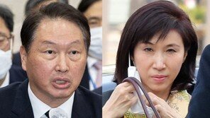 최태원, 이혼소송 1심 판결 불복…노소영 항소에 맞항소