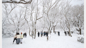 제주 38cm 눈폭탄…한라산 33명 고립·항공기 288편 결항