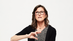 ‘돈나무 언니’ ETF 손실 눈덩이… 마법이 저주되나[딥다이브]