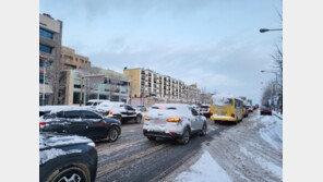 대설특보 전북 임실 강진면 55.2㎝ ‘눈폭탄’…여객선·항공기 모두 결항