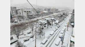 20㎝ ‘펑펑’…출근길 시민들 빙판길 ‘휘청휘청’, 차는 ‘비틀비틀’