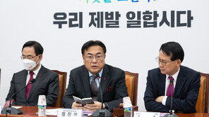 ‘김장연대’ 뜨자, 안철수는 나경원에 손짓… 전대 룰 확정에 주자들 합종연횡 수면위로