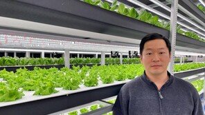 [농업이 IT(잇)다] 9단 수직 재배판으로 생산성 향상…파종부터 재배까지 자동화 꿈꾸는 ‘울트라파머’