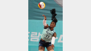 ‘모마 21점’ GS칼텍스, 페퍼저축은행 셧아웃…페퍼 16전 전패