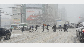 기록적 폭설에 광주·전남 피해 잇따라…역대 3위 적설량