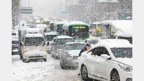 광주에 39cm ‘눈폭탄’… 오늘도 폭설