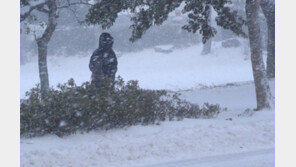 눈보라 잦아든 제주…대설특보 해제, 하늘길 정상화