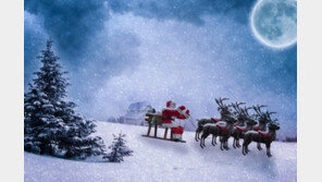 캐나다 “산타와 루돌프, 코로나 음성…비행 허가합니다”