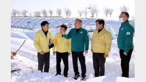 대설경보 ‘관심’ 단계 하향→중대본 해제…한파는 지속