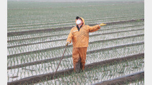 봄 가뭄, 여름 폭우, 겨울 먼지·한파…모두 이것 때문이었다