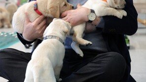 尹 ‘신년사’, TV·라디오 생방송 검토…민생경제·3대 개혁 메시지