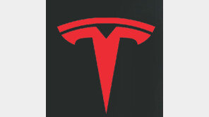 테슬라 주가 끝없는 추락… 서학개미는 저가매수 공세 