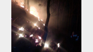 강릉 왕산면 산불 30여 분 만에 진화…발화 추정 주택화재 초진 완료