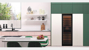 삼성 ‘비스포크 인피니트 라인’ 세계로… 