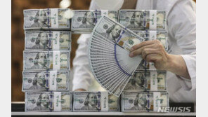 국내기업 10곳 중 4곳 “환율 반영해 제품 가격 올렸다” 