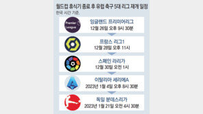 ‘42일 겨울잠’ EPL, 손흥민과 함께 깨어난다