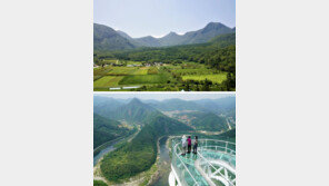 국내 관광객, 울릉군서 가장 오래 머물렀다